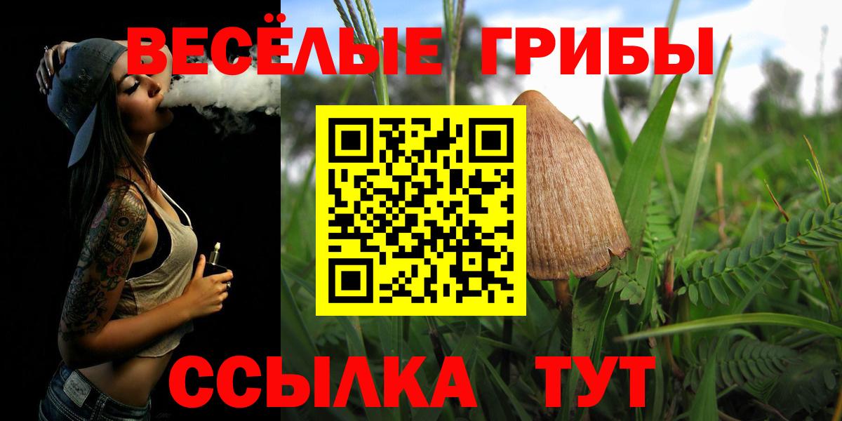 Вышний Волочёк  Галлюциногенные грибы мухоморы  Вход с VPN 